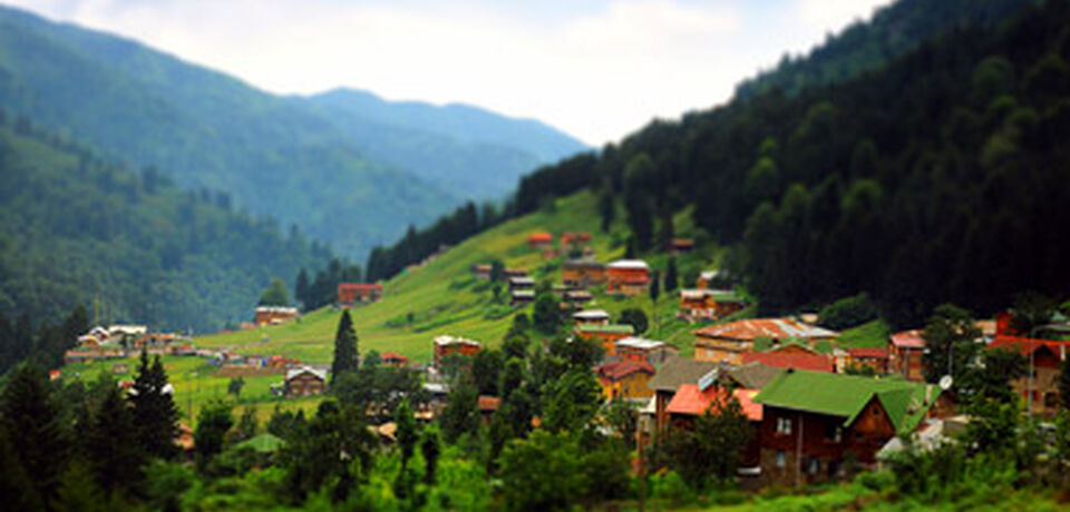 Karadeniz Turu